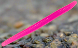 pink trout worm