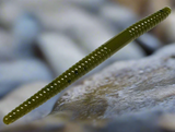 olive trout worm