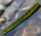 watermelon trout worm