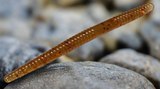 root beer trout worm